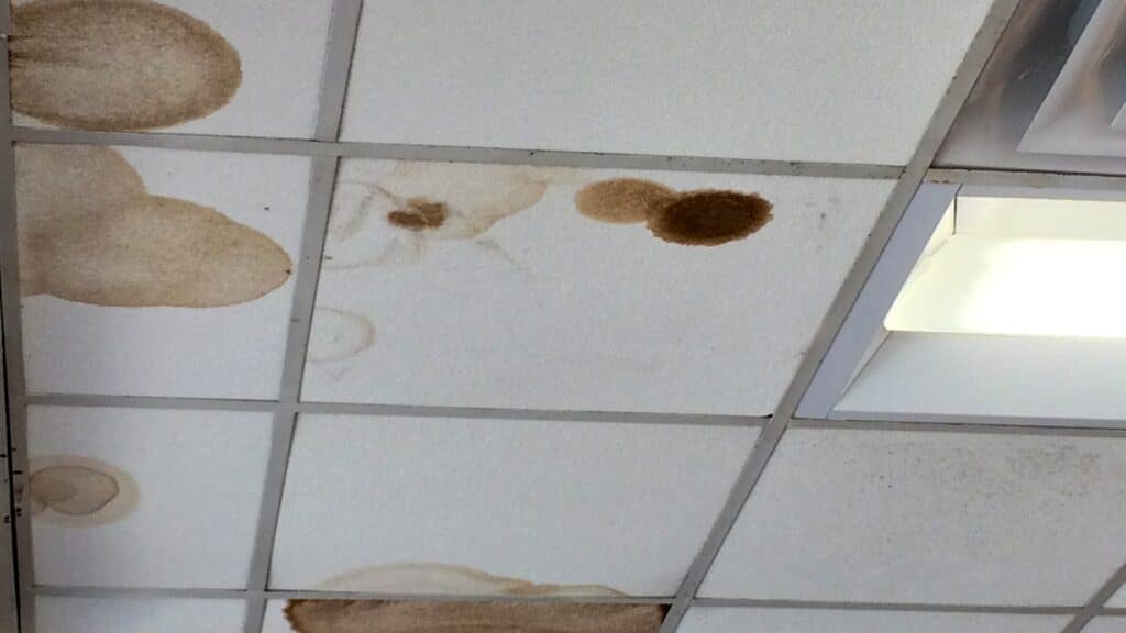 Preventive vs. Reactive Commercial Roof Maintenance Interior Ceiling Water Stains Cherry Town Commercial Roofing Michigan